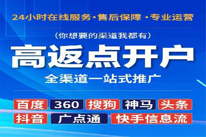 搜索引擎营销（SEM）竞价策略案例